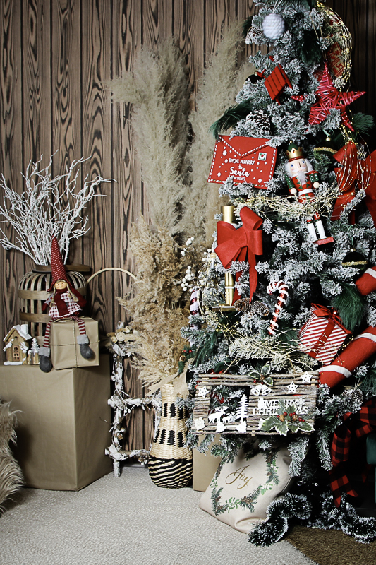 karácsonyi kutyafotózás Debrecen 2024 02