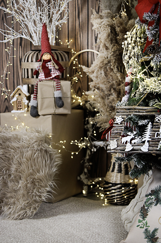 karácsonyi kutyafotózás Debrecen 2024 03