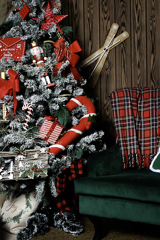 karácsonyi kutyafotózás Debrecen 2024 01