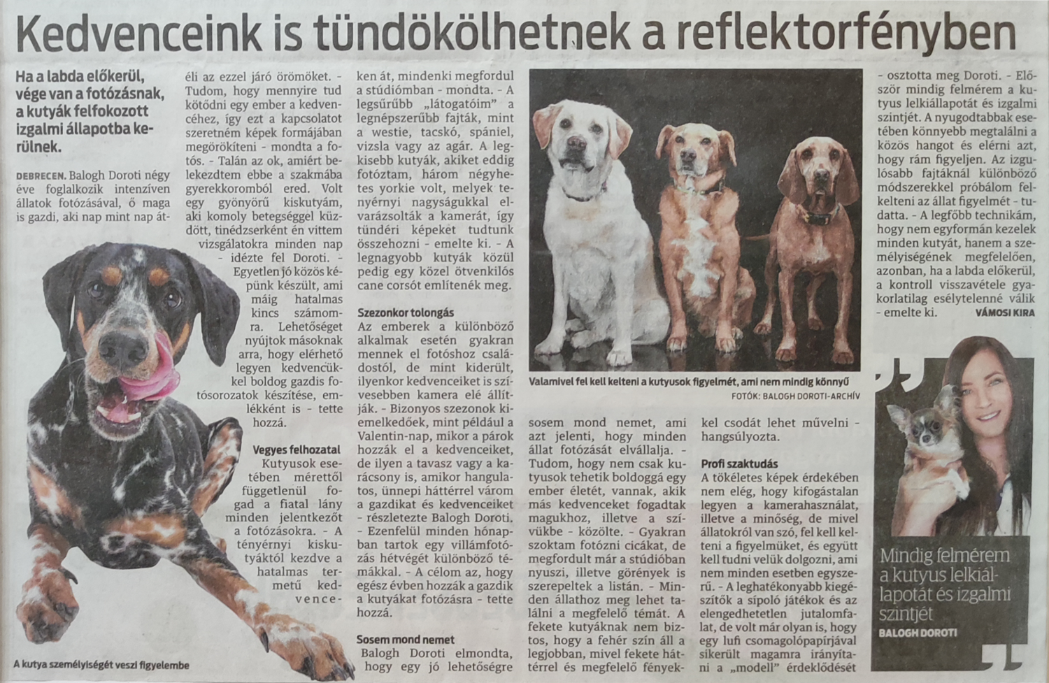 napló cikk weboldalra Debreceni kutyafotó stúdió