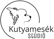 Kutyafotózás Debrecen